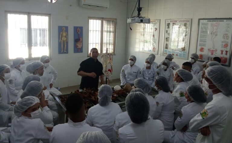 Uema promove aula prática de anatomia para fortalecer formação em Enfermagem