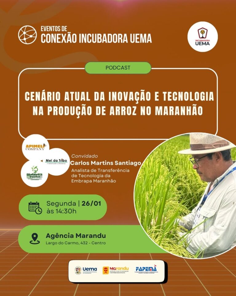 Uema promove podcast sobre os desafios e avanços da produção de arroz no Maranhão