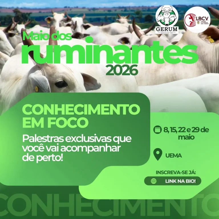 Uema realizará terceiro módulo do “Maio dos Ruminantes” com foco em bovinocultura de corte