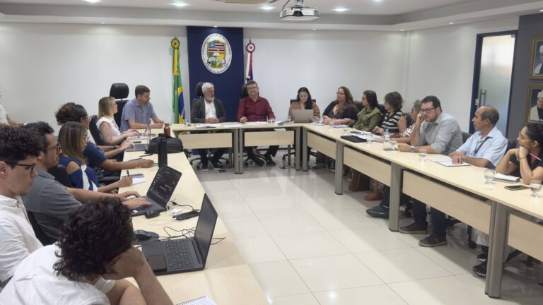Comitê de Pós-Graduação da Uema debate planejamento estratégico e ações para fortalecimento dos programas